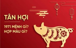 Giải mã chi tiết: Tuổi 1971 Tân Hợi mệnh gì? Hợp màu gì?