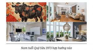 Nam tuổi Quý Sửu 1973 hợp hướng nào